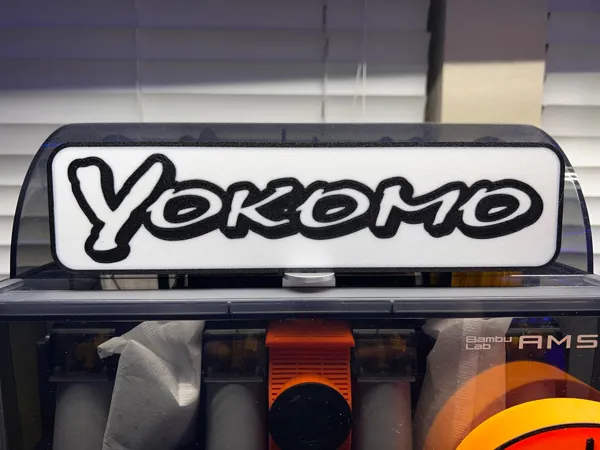https://makerworld.bblmw.com/makerworld/model/US2449a430bbc383/design/2024-03-06_f530fe9d37f79.jpg