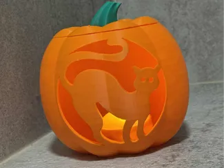 classic cat pumpkin carving