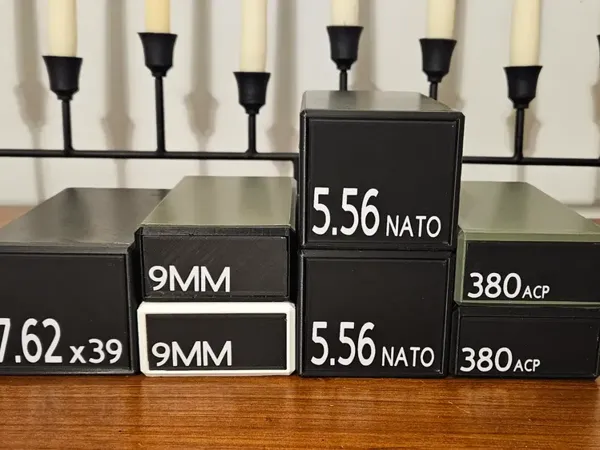 https://makerworld.bblmw.com/makerworld/model/US244c400c799da4/design/2024-12-18_79722e55f3d16.webp