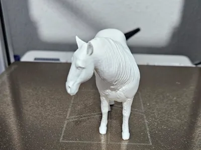 White Horse - Cavalo Branco