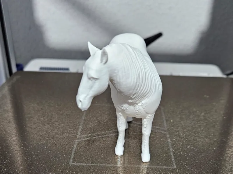 White Horse - Cavalo Branco