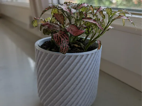 Pot de fleurs