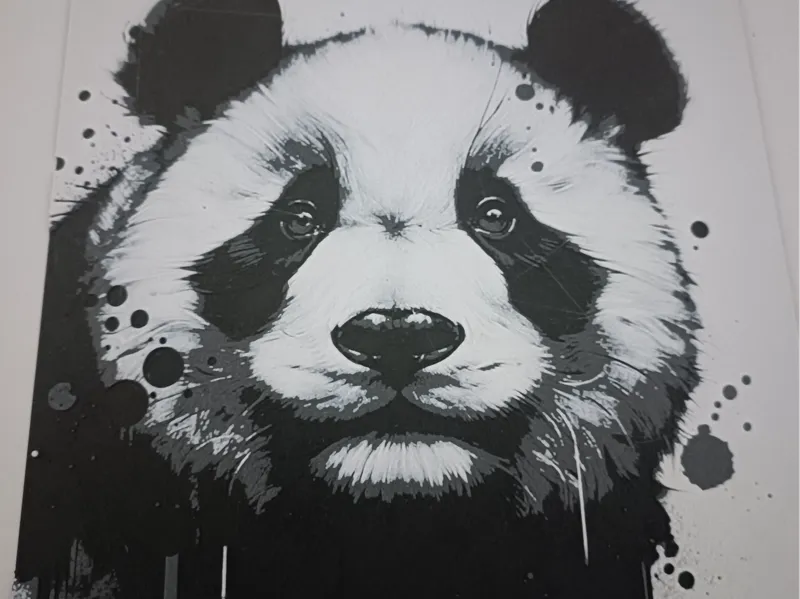 HueForge Panda