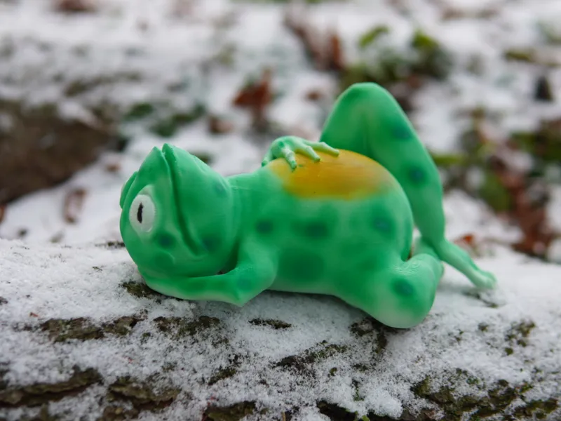 Frog Rest
