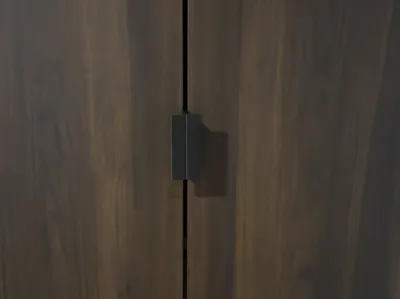 Pax handle