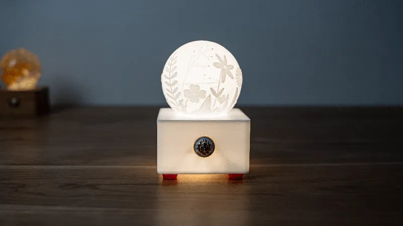 Plant Relief Sphere Night Lamp