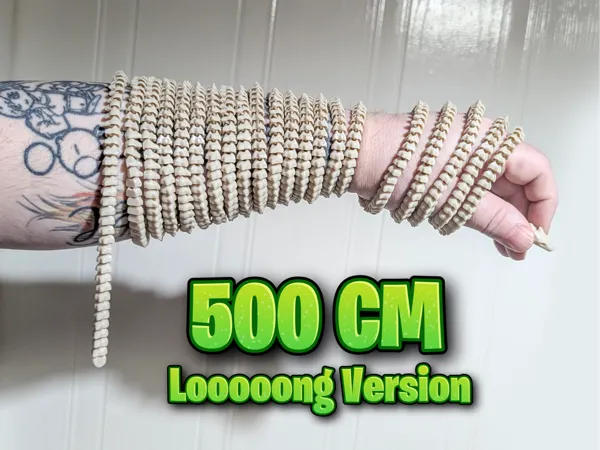 https://makerworld.bblmw.com/makerworld/model/US245e1c244420e/design/2025-05-22_9044692a5f02c.jpg