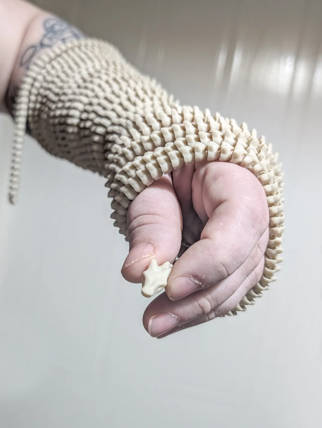 500cm Tiny Flexi Spiny Dragon view 4