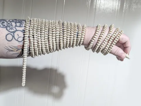500cm Tiny Flexi Spiny Dragon view 2