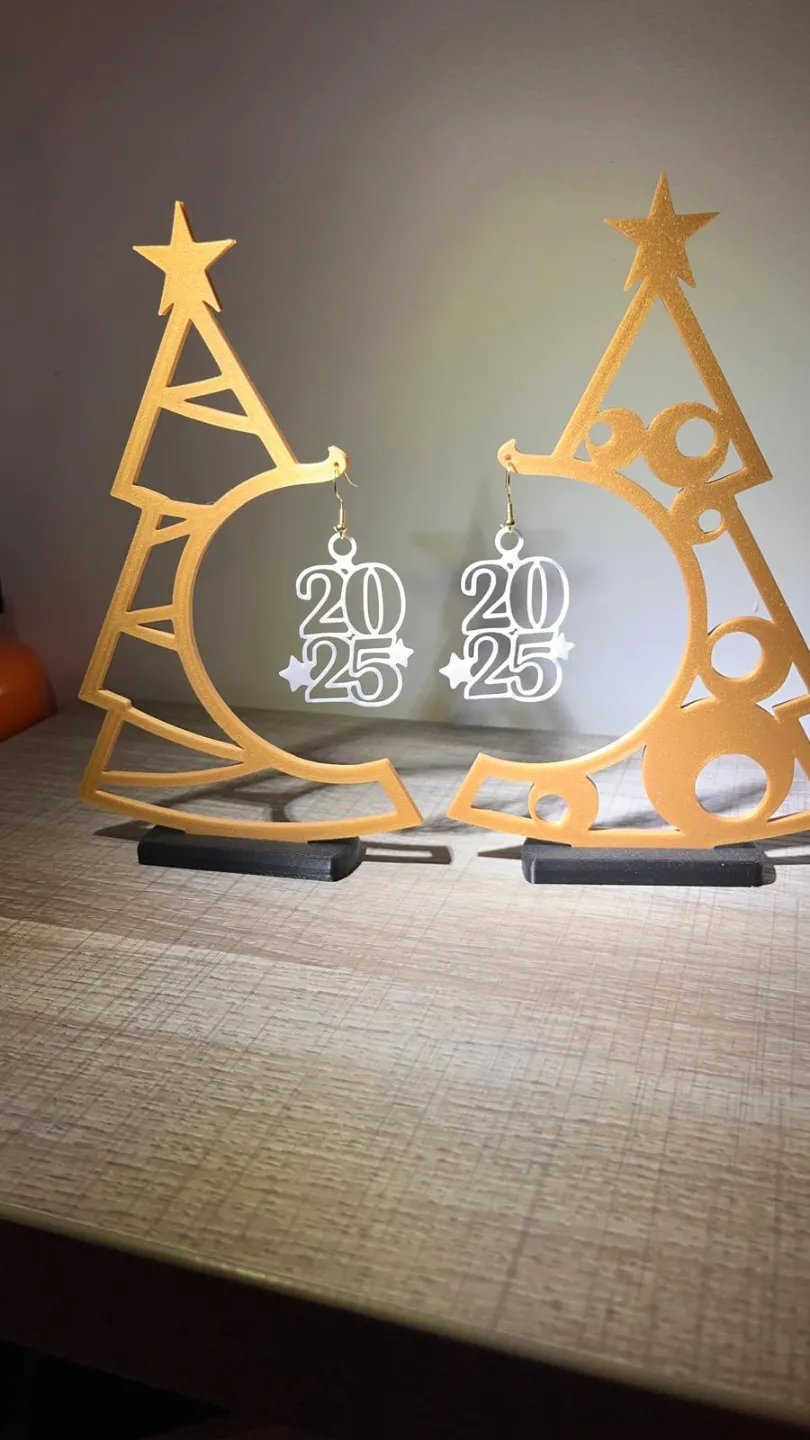 Earrings 2025 view 3