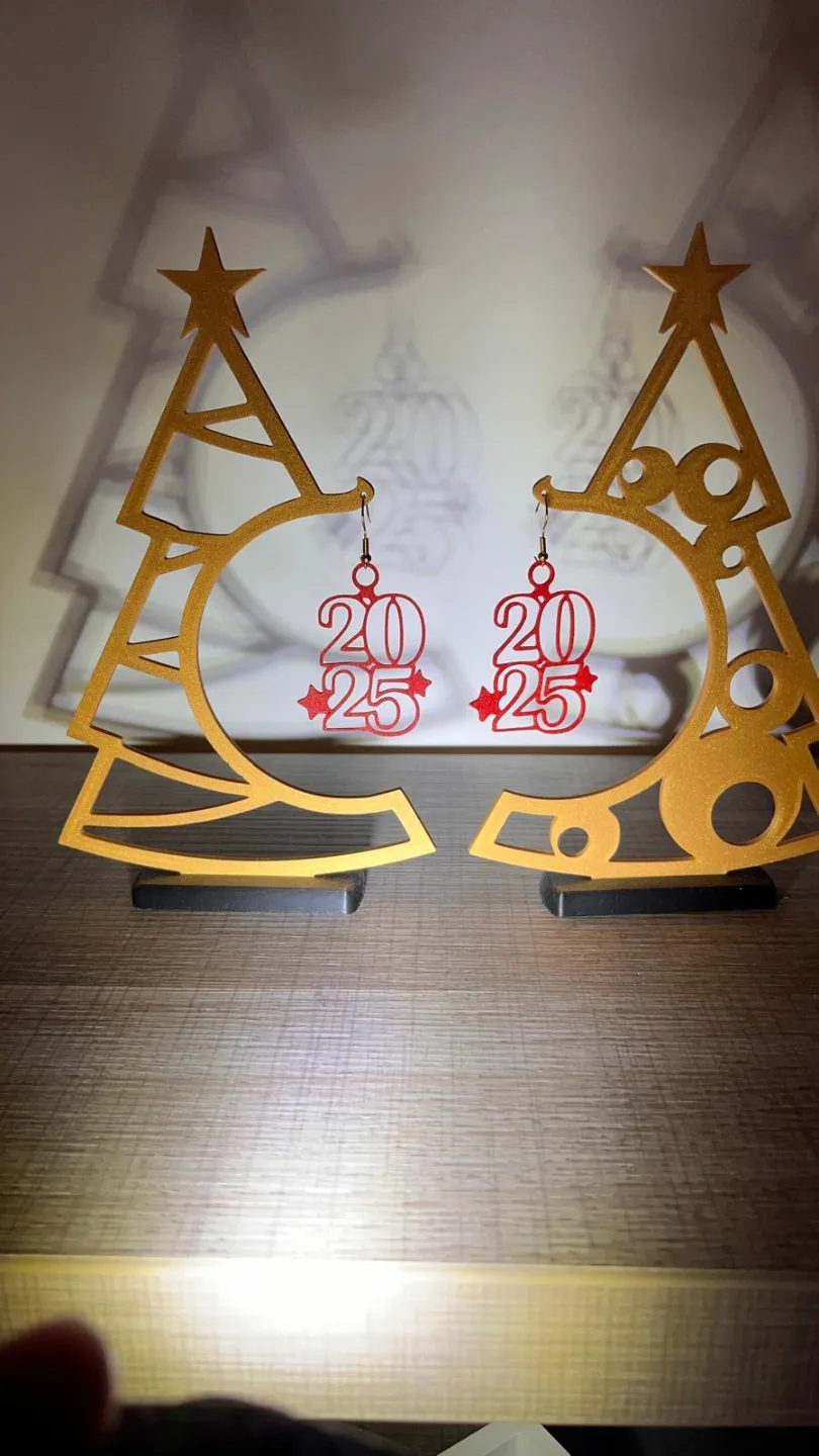 Earrings 2025 view 4
