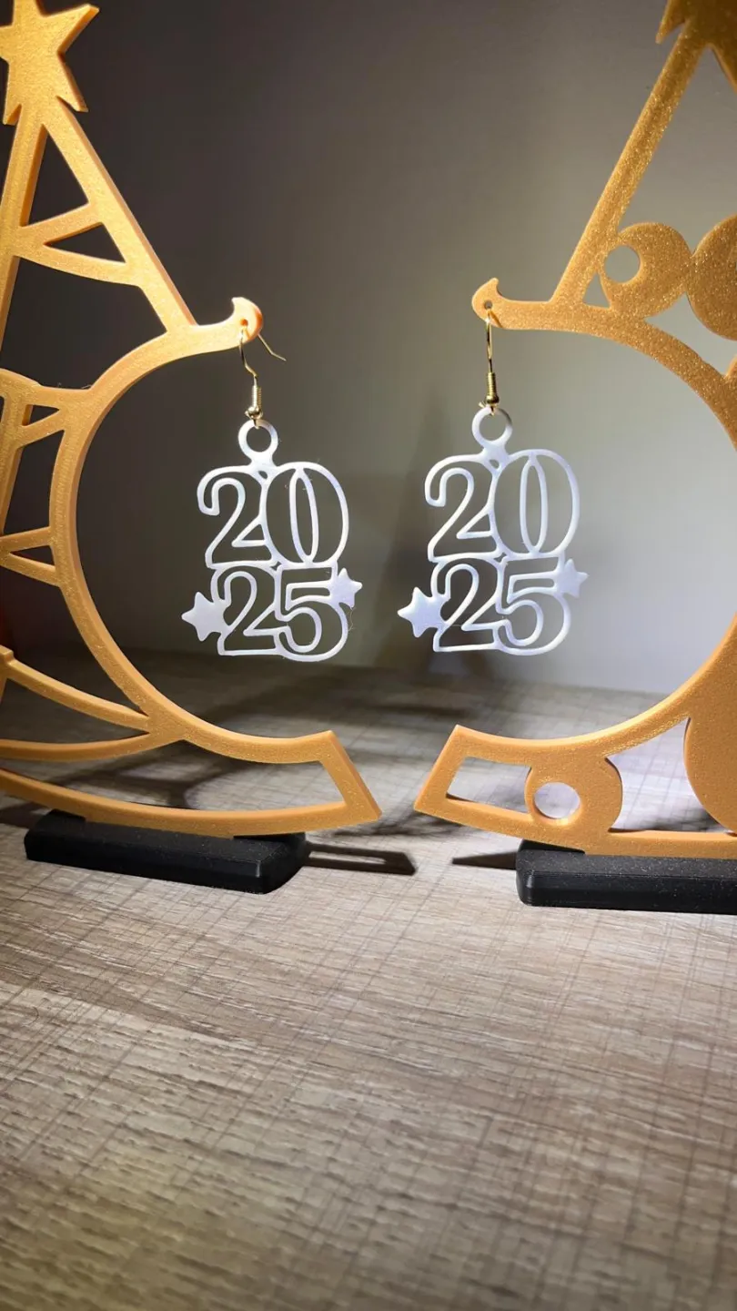 Earrings 2025 view 2