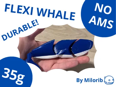 Durable flexi whale
