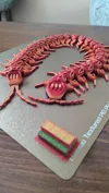 0.16mm layer, 2 walls, 15% infill AMS 2 color