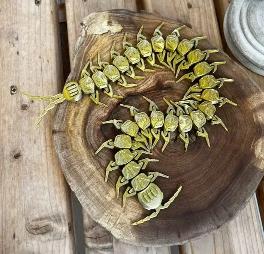 https://makerworld.bblmw.com/makerworld/model/US2462d8a96f98d7/design/2024-03-01_2cd021b28dcb8.jpg
