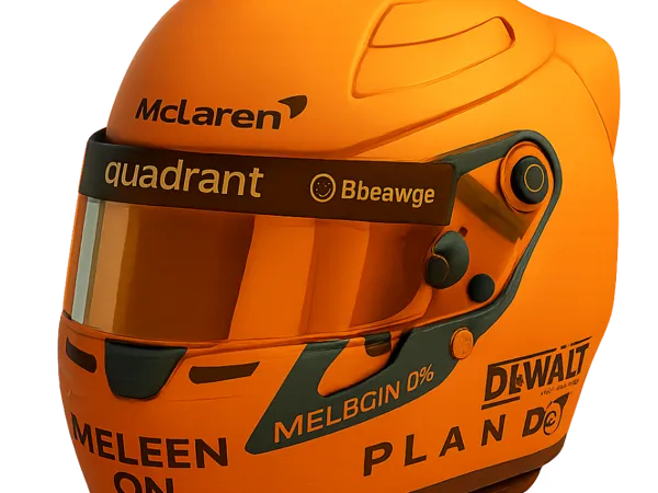 https://makerworld.bblmw.com/makerworld/model/US2463899b6248b1/design/2025-10-26_a03a42c87505a.png