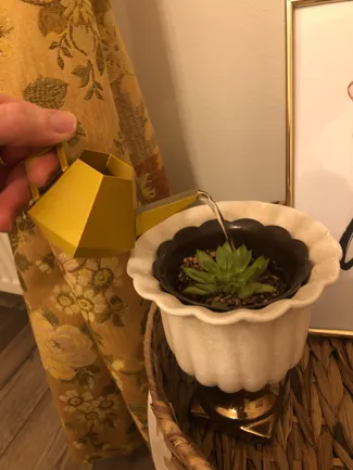 Cute Watering Can