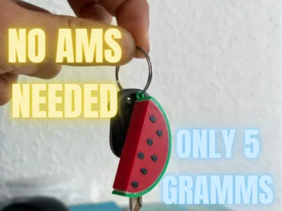 NO AMS NEEDED-Watermelon Keychain