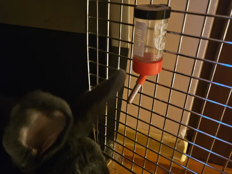 Waterer Holder Ring for hamster rabbit guinea pig