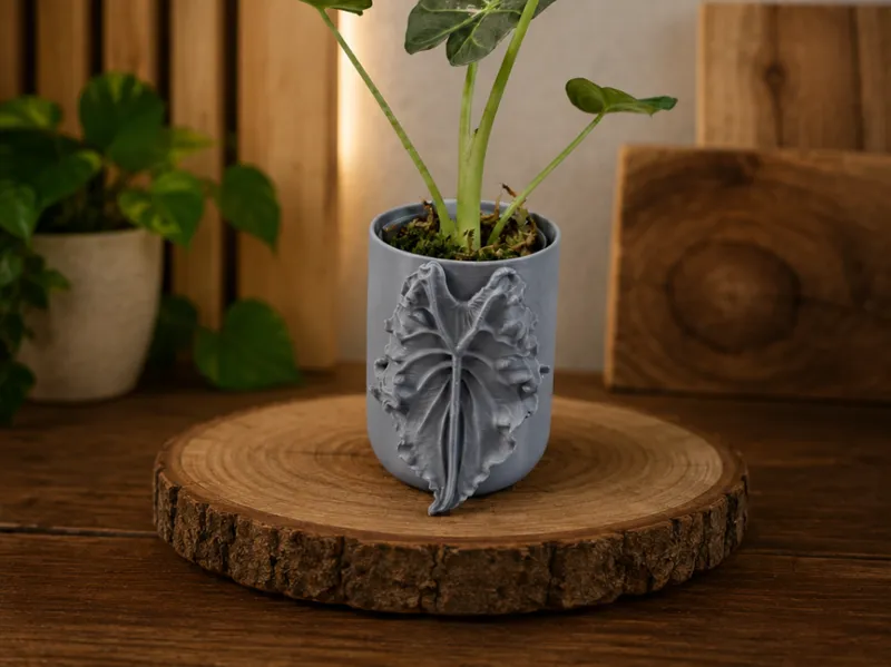 Übertopf Alocasia Venom 100ml