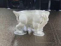 Bulldog de Géorgie — photo 3