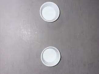 Crested / Gargoyle Gecko food cups