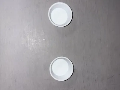 Crested / Gargoyle Gecko food cups