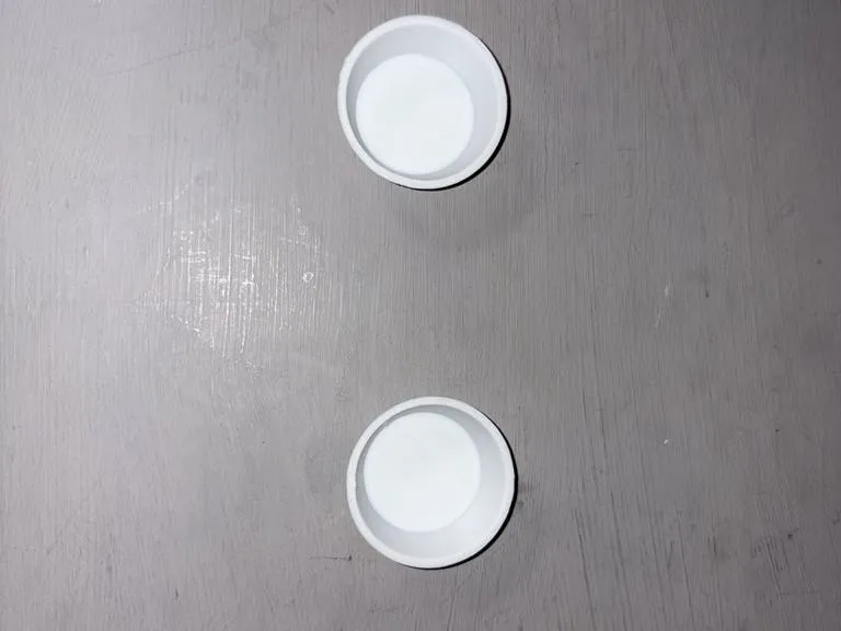 Crested / Gargoyle Gecko food cups