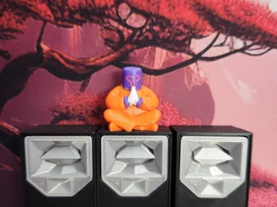 Mr Wobble Meditation