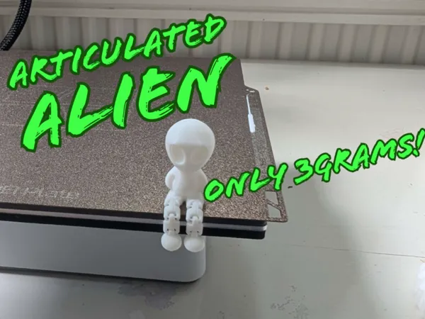 https://makerworld.bblmw.com/makerworld/model/US2487436d7bcd00/design/2025-06-08_803833e9348b9.png