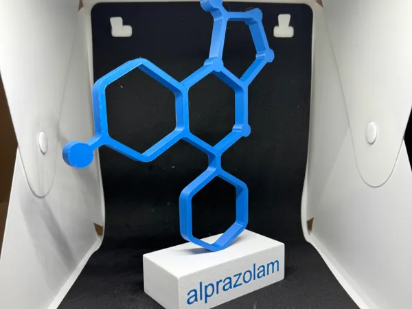 https://makerworld.bblmw.com/makerworld/model/US2489a13f47814a/design/2025-08-28_899edacbbb2968.jpg