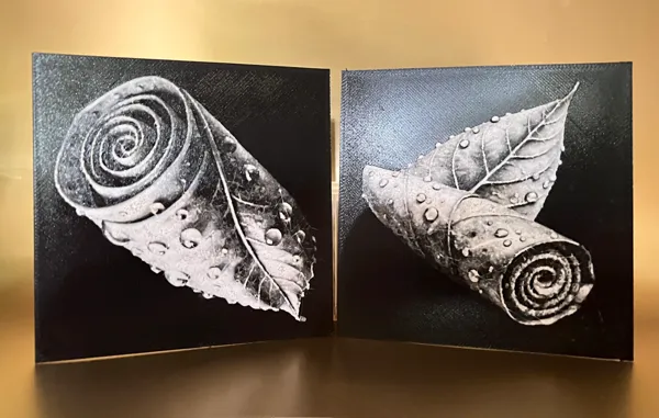https://makerworld.bblmw.com/makerworld/model/US248a0736b8fddb/design/2024-03-29_e2707db958d64.jpeg
