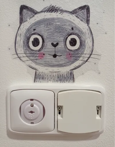 switch cover