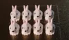 cute buny's (8)
