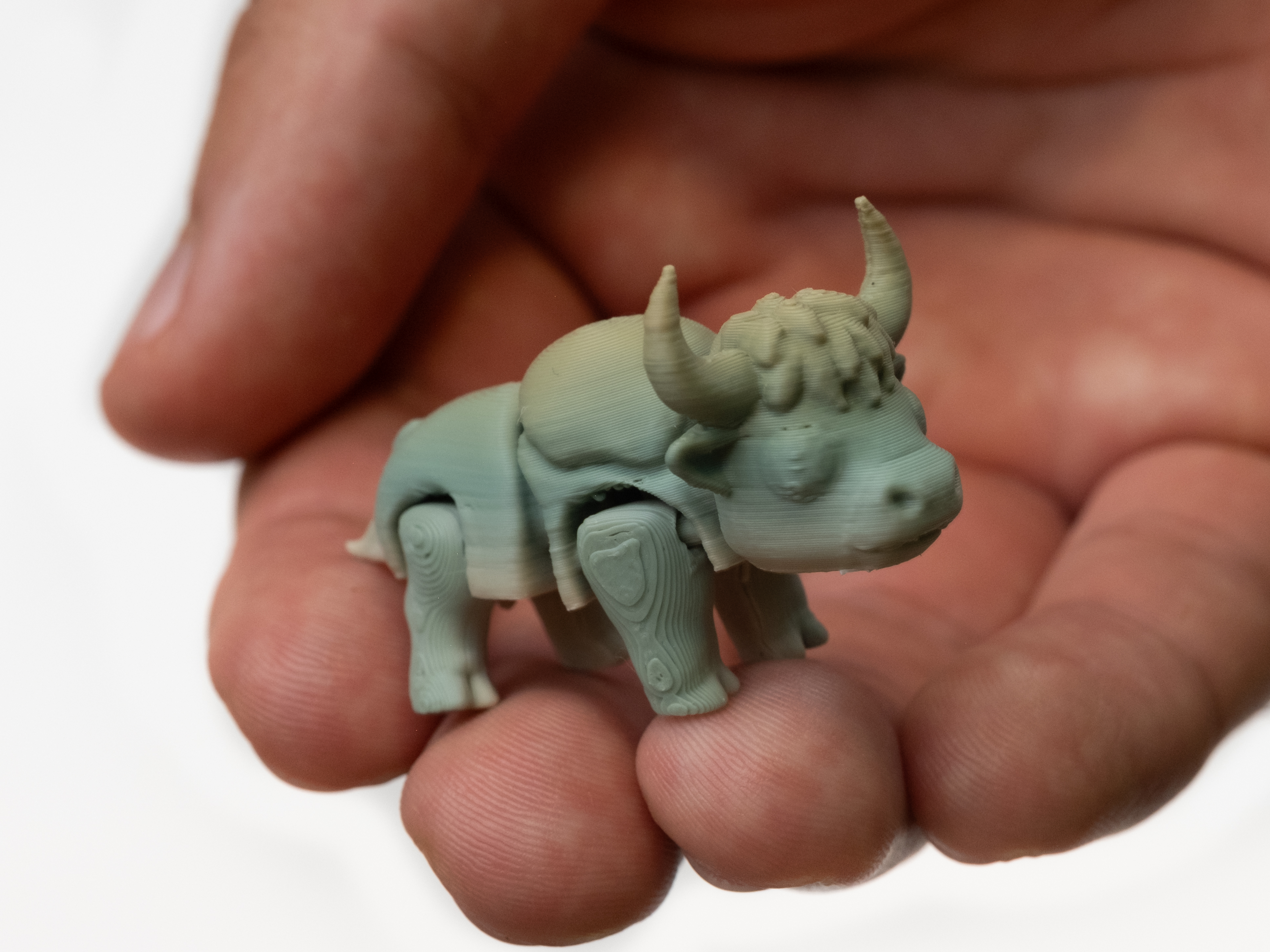 Flexi bull - 1