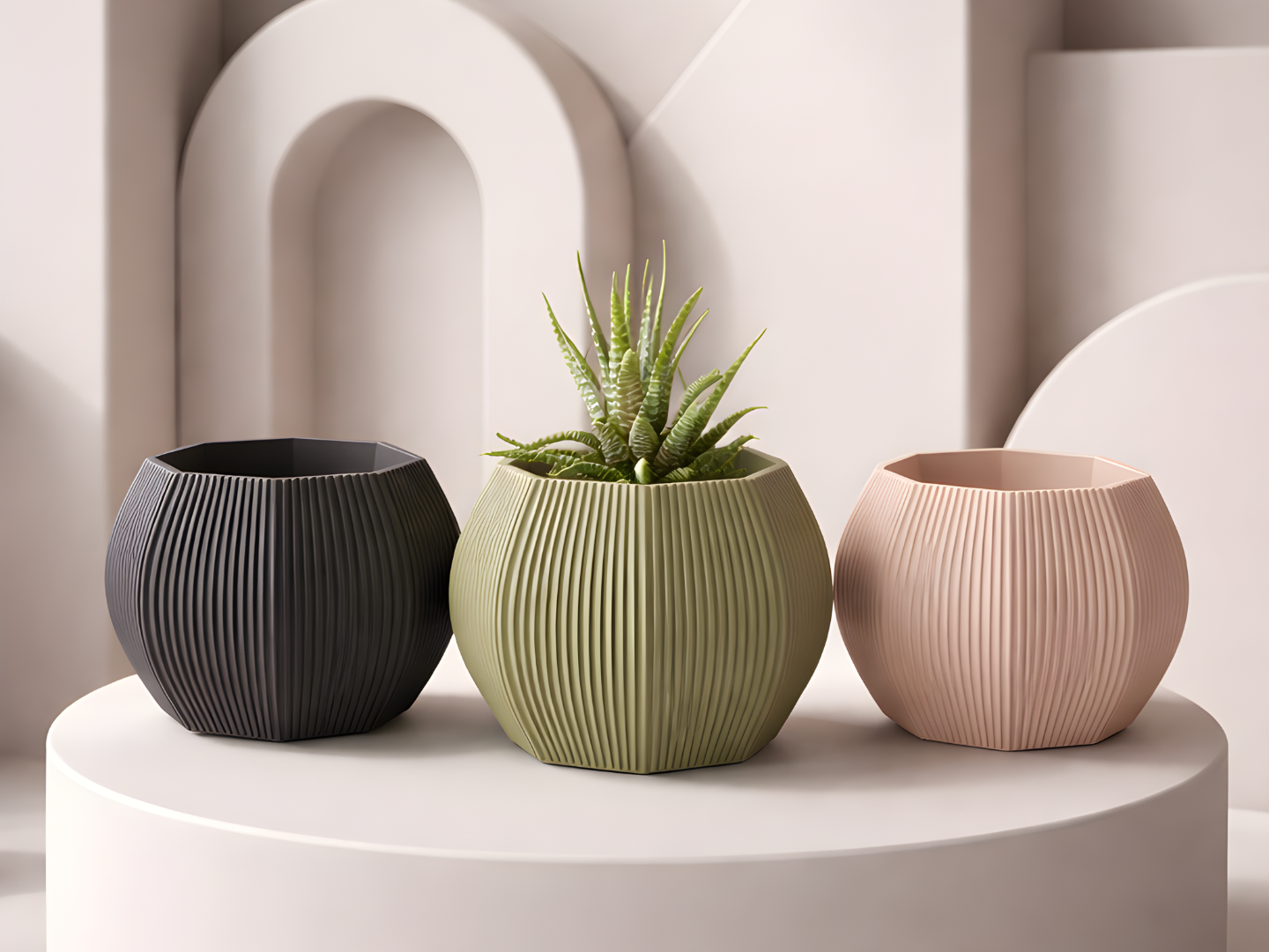 STL file of flower pot for succulent