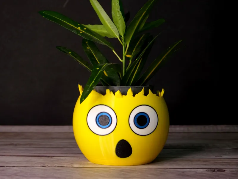 Emoji Planter - Mind Blown