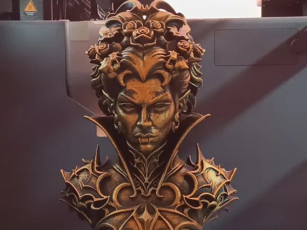 https://makerworld.bblmw.com/makerworld/model/US249c0734c7fc82/design/2025-11-15_684e9212cde32.jpg