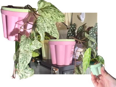 Pudding Pot Self-Watering Planter