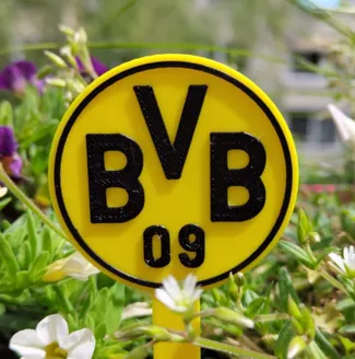 BVB_Pin