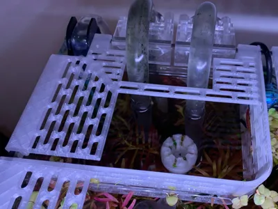 Floating Plant Guard for 5mm glass Aquariums