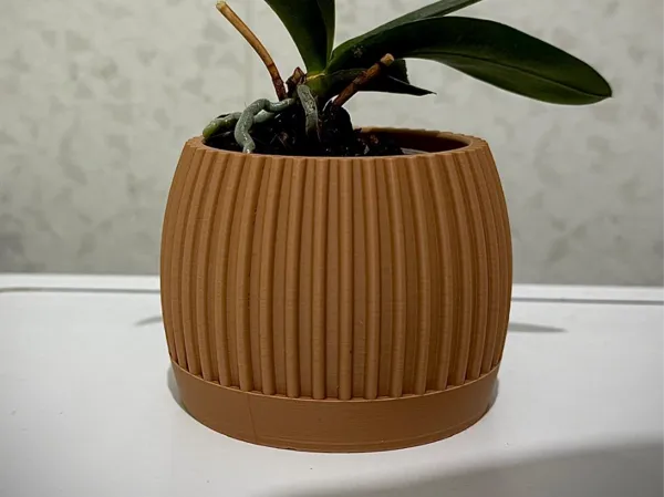 https://makerworld.bblmw.com/makerworld/model/US249e93e9b03bd2/design/2026-01-06_47a9897b457438.jpeg