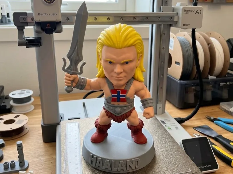HAALAND HAS THE POWER!