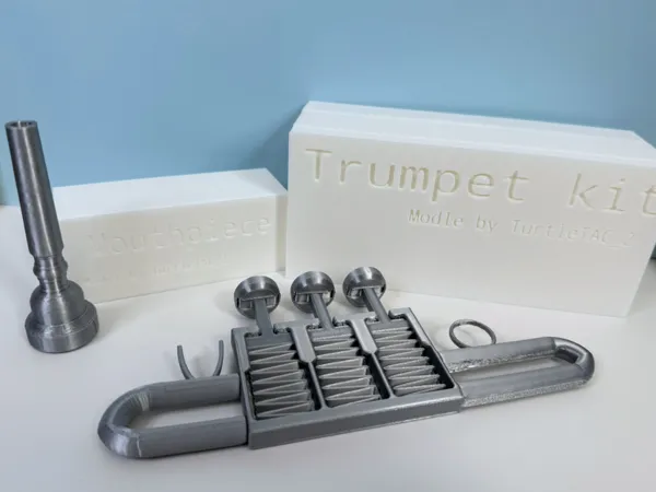 https://makerworld.bblmw.com/makerworld/model/US24a54047de4d6/design/2025-09-22_09ae682b0f336.png