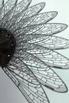 Bionic Dragonfly Fan (TPU buckle version) (dual print head)