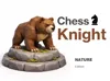 Chess knight 2 Pieces