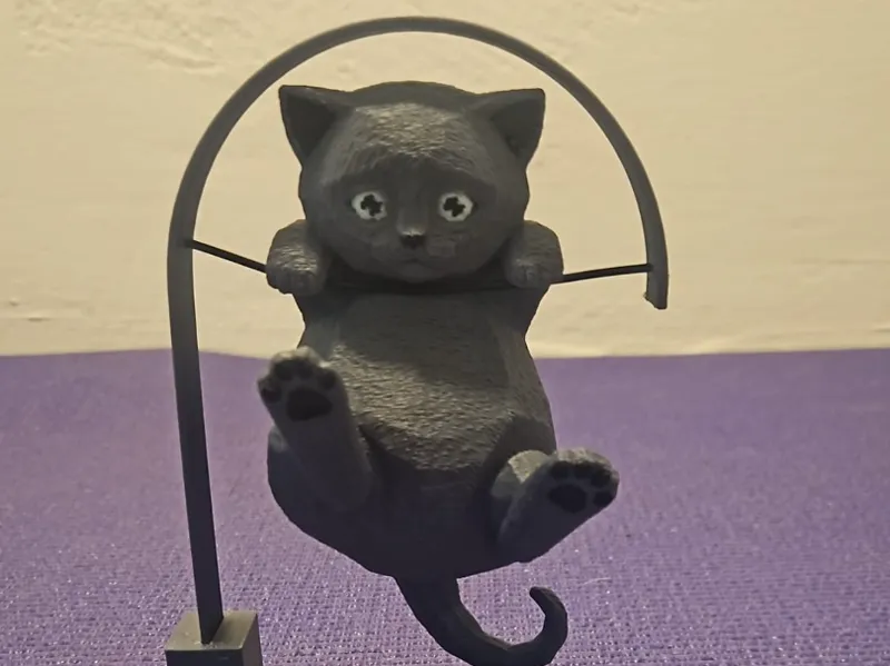 cute hanging kitten