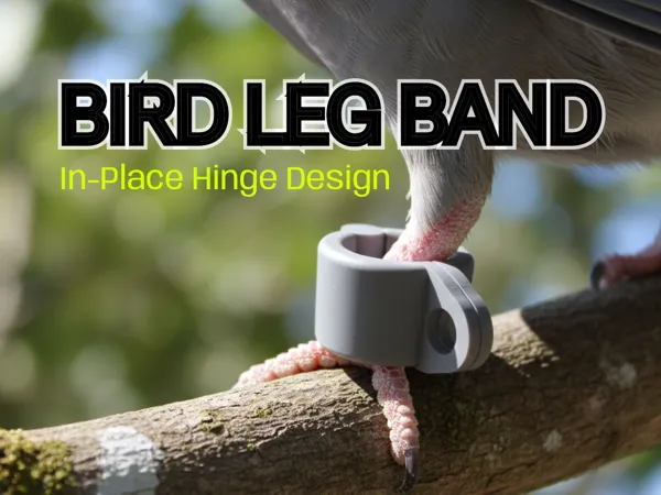 https://makerworld.bblmw.com/makerworld/model/US24ab47cc8acf6f/design/2025-11-20_e0887f2f328418.jpg