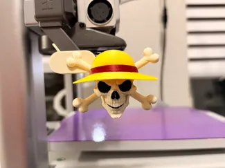 Poop Deflector - Pirate Skull Straw Hat - A1 & A2L