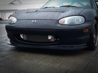 Car fangs / teeth